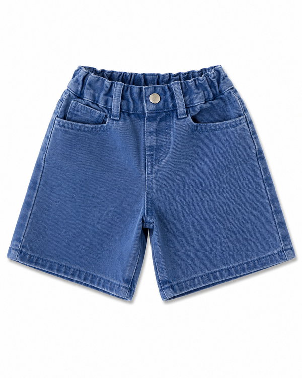Paris Denim Shorts Purple