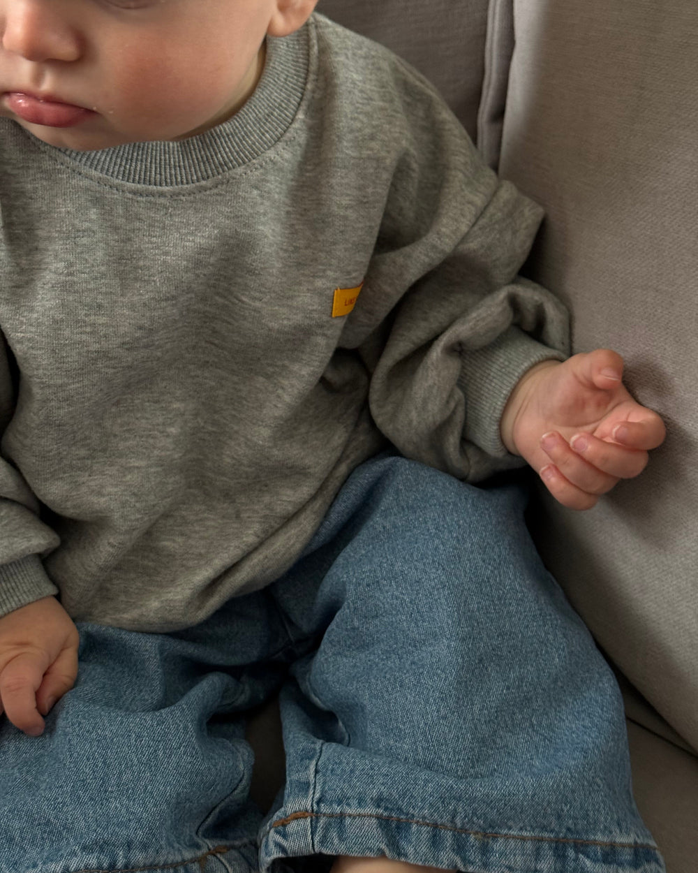 Janey Sweater Grey - Bebe