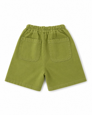 Farah Shorts Green