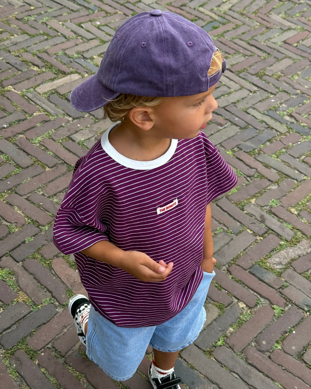 Indy Purple T-Shirt