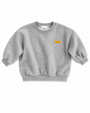 Janey Sweater Grey - Bebe