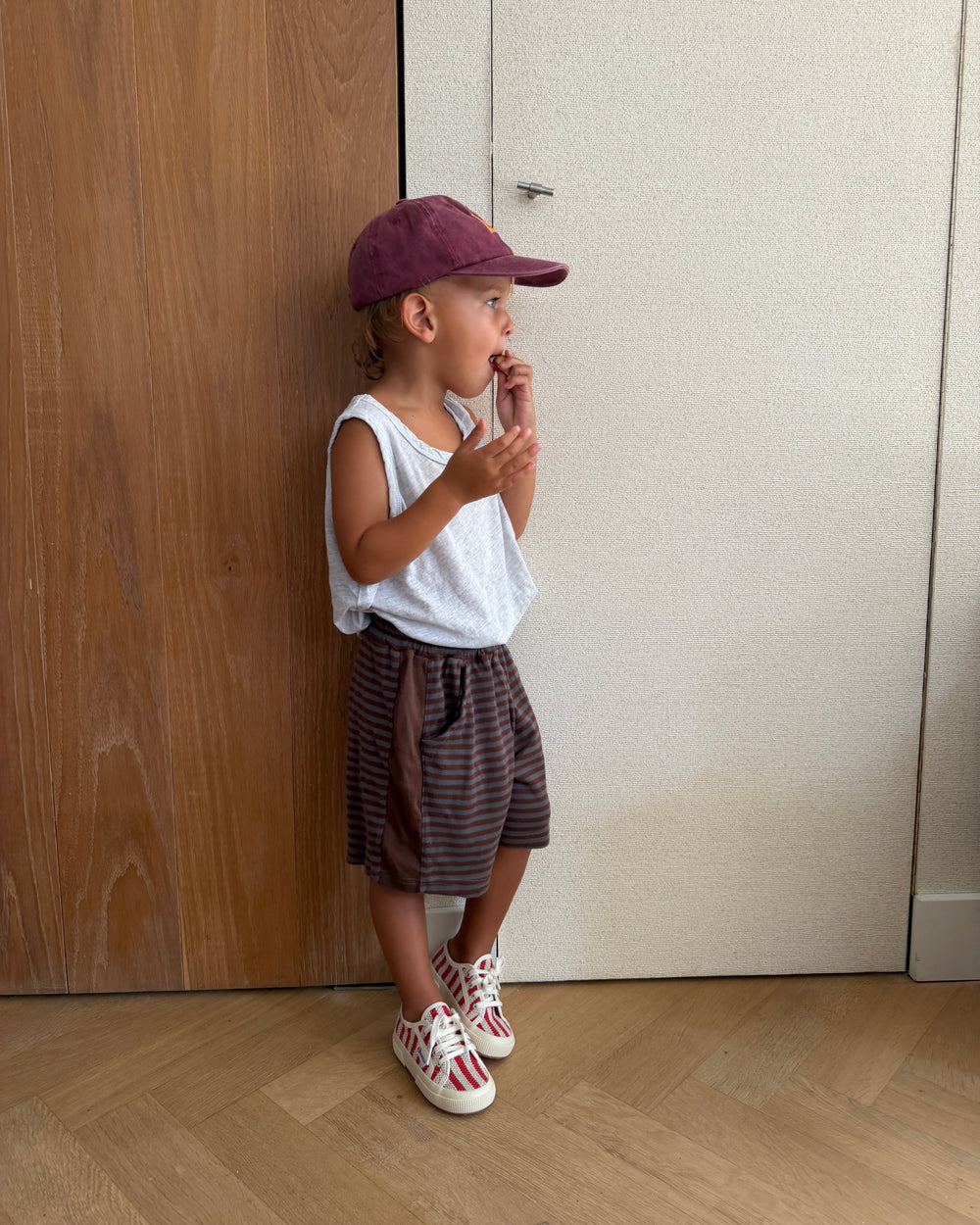 Axel Striped Shorts Brown