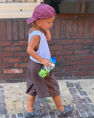 Axel Striped Shorts Brown