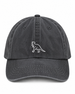 Dino Cap