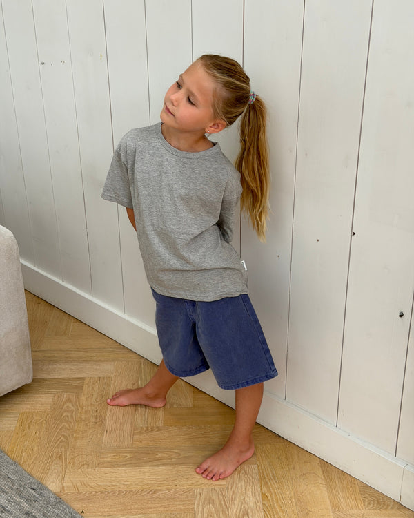 Paris Denim Shorts Purple