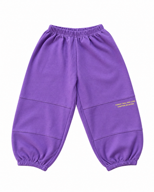 Sam Joggers Purple - Bebe