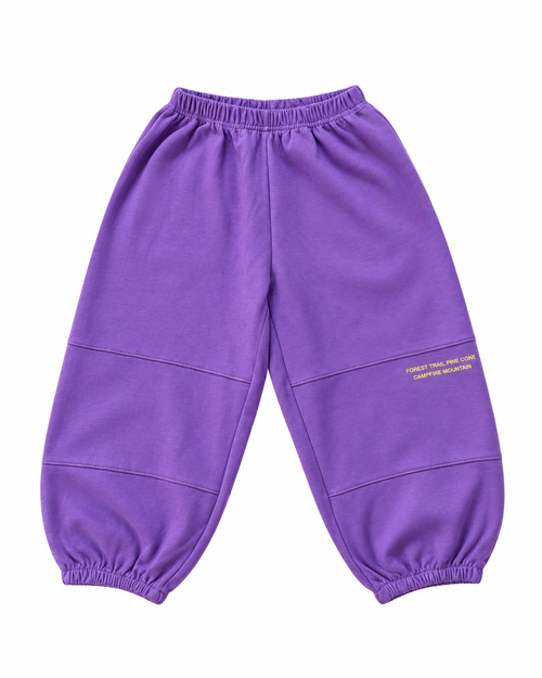 Sam Joggers Purple - Bebe