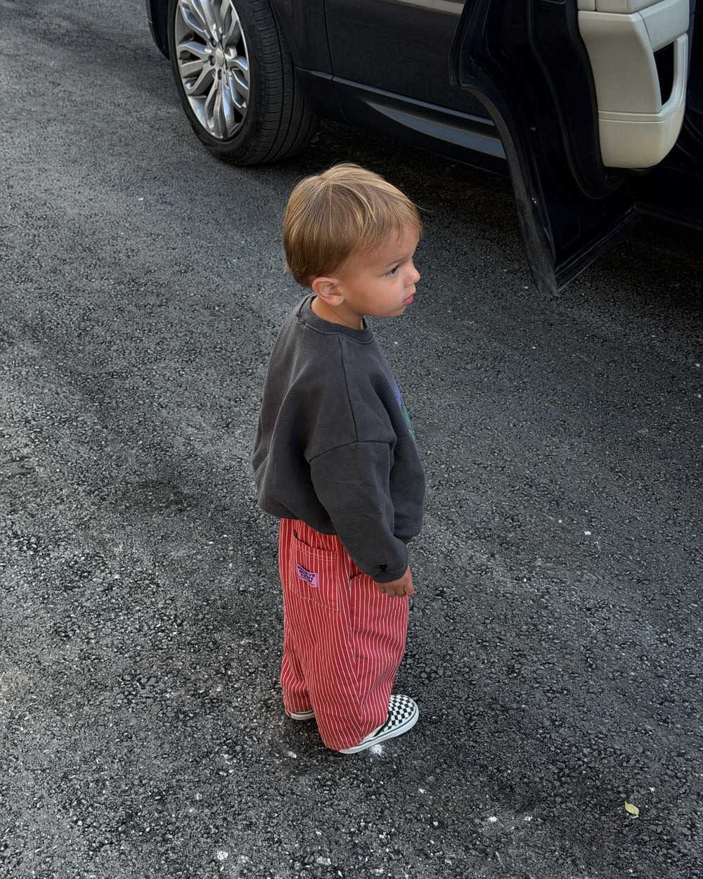 Lucie gestreepte jeans rood