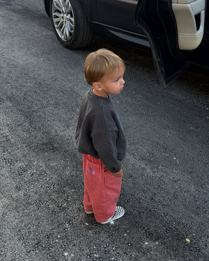 Lucie gestreepte jeans rood