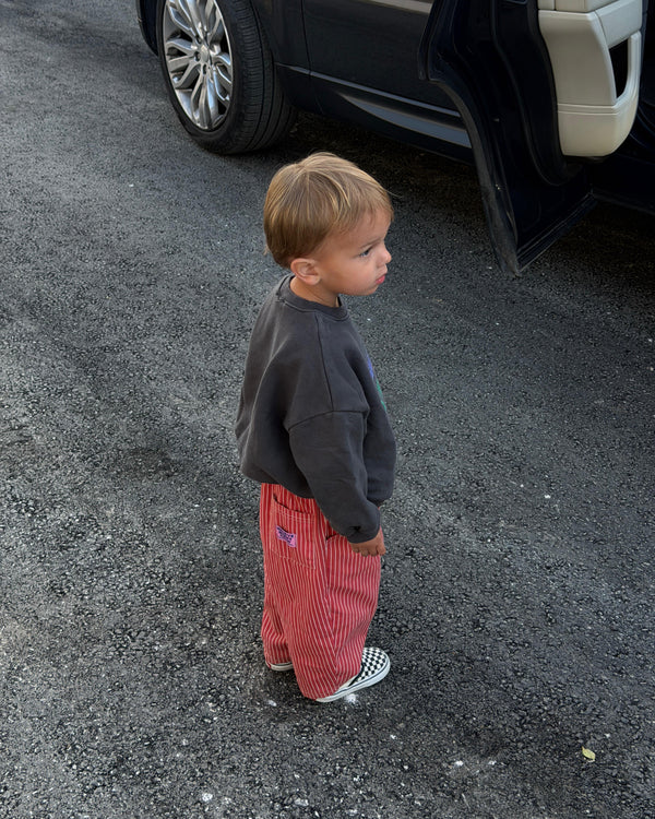Lucie gestreepte jeans rood