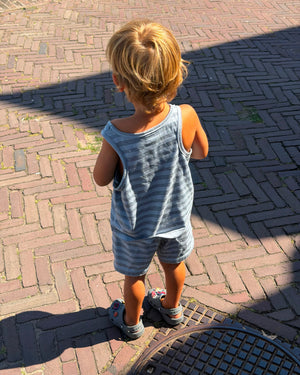 Dion Shorts Blue