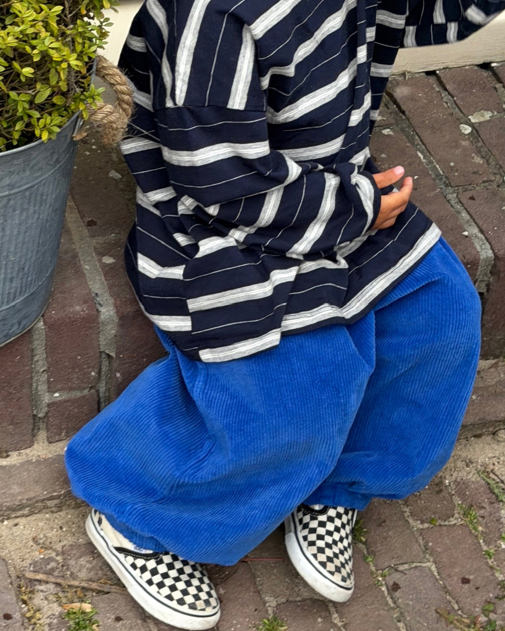 Ollie Pants Blue
