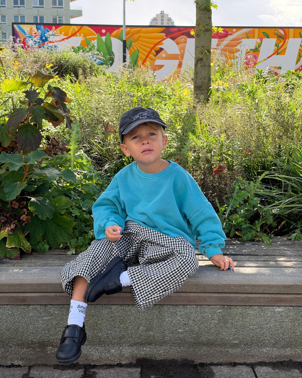 Jay Check Pants