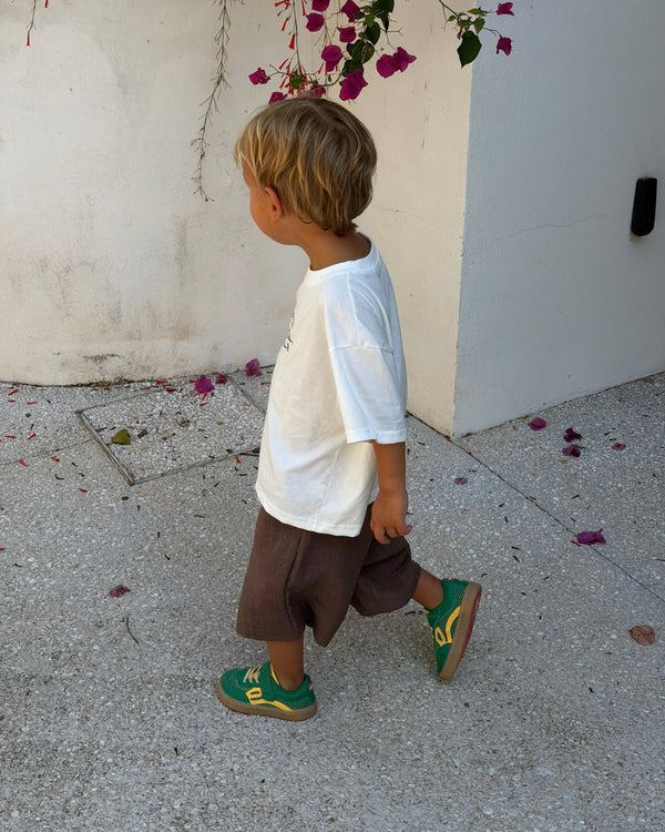 Jay Shorts Brown